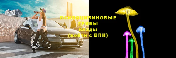 ПСИЛОЦИБИНОВЫЕ ГРИБЫ Абаза