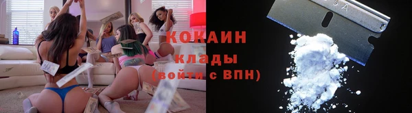 ПСИЛОЦИБИНОВЫЕ ГРИБЫ Абаза