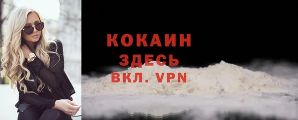 ПСИЛОЦИБИНОВЫЕ ГРИБЫ Абаза