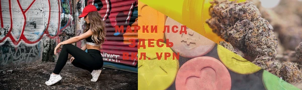 ПСИЛОЦИБИНОВЫЕ ГРИБЫ Абаза