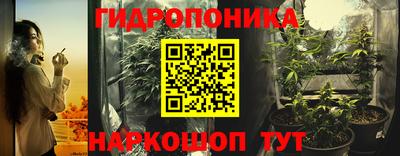 крисы Краснокаменск