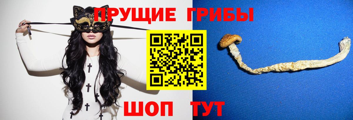 Донецк  Псилоцибиновые грибы мухоморы  Вход с VPN  Галлюциногенные грибы Psilocybine cubensis 